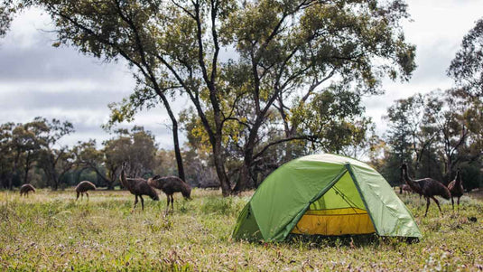 Tents & Shelter