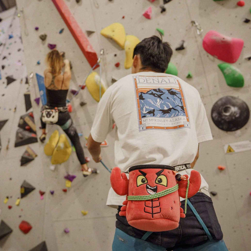 Load image into Gallery viewer, Chalk Bag - Lobster
