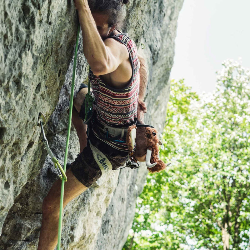 Load image into Gallery viewer, Mammoth Climbing Chalk Bag
