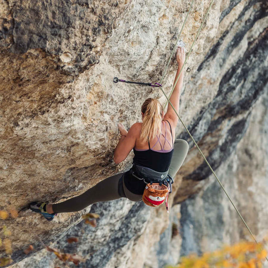 Shibu Inu Rock Climbing Chalk Bag