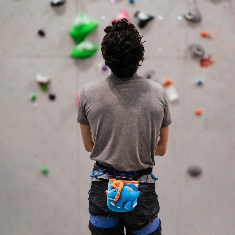 Load image into Gallery viewer, Triceratops Rock Climbing Chalk Bag
