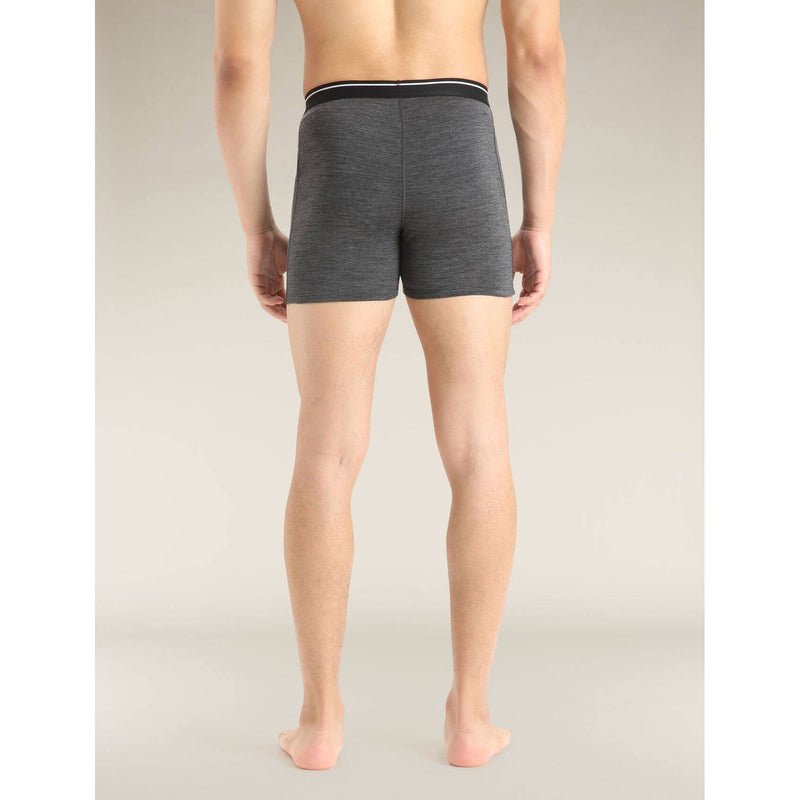 Load image into Gallery viewer, Mens Merino 150 Anatomica Boxers
