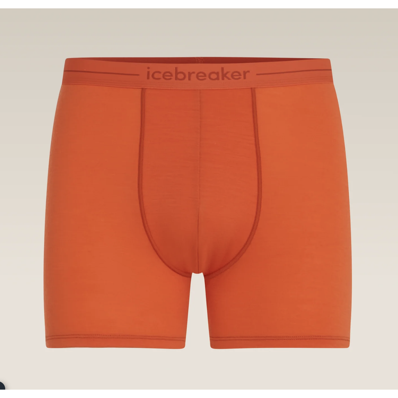 Load image into Gallery viewer, Mens Merino 150 Anatomica Boxers
