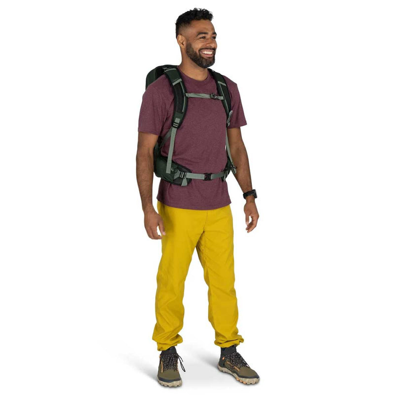 Load image into Gallery viewer, Talon 22 V2 Daypack
