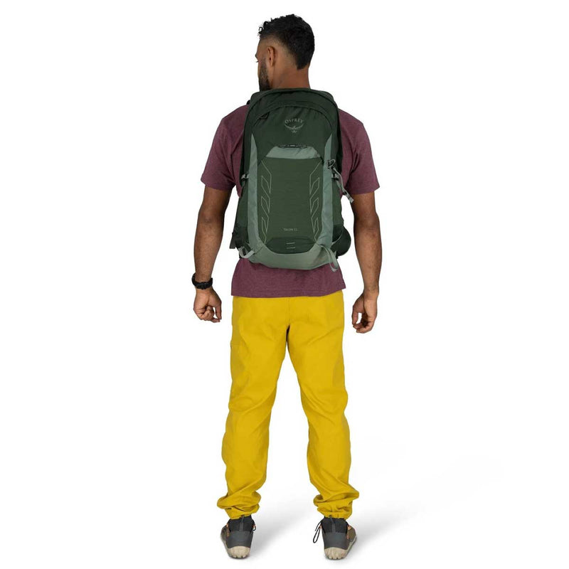 Load image into Gallery viewer, Talon 22 V2 Daypack
