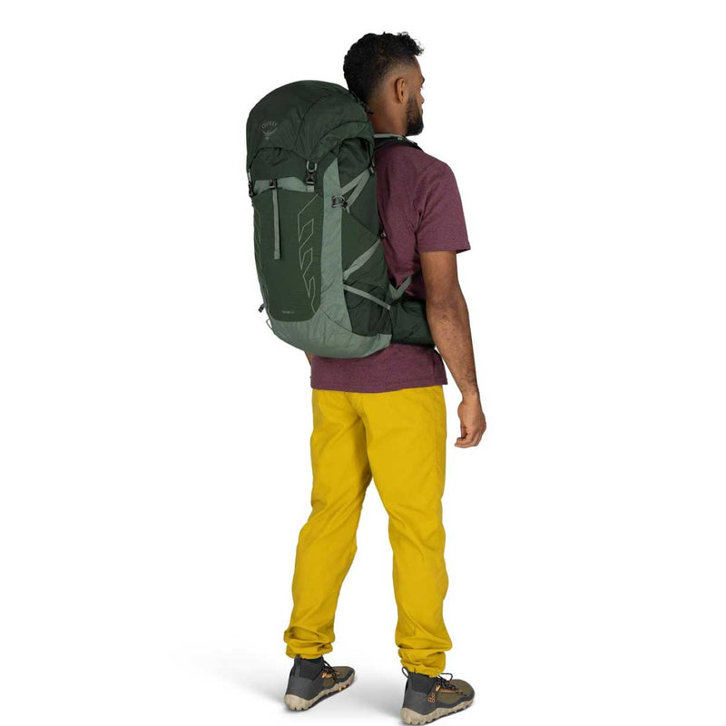 Load image into Gallery viewer, Talon 33 V2 Daypack
