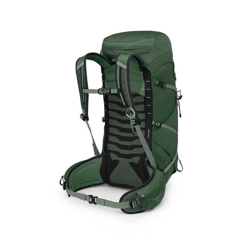 Load image into Gallery viewer, Talon 33 V2 Daypack

