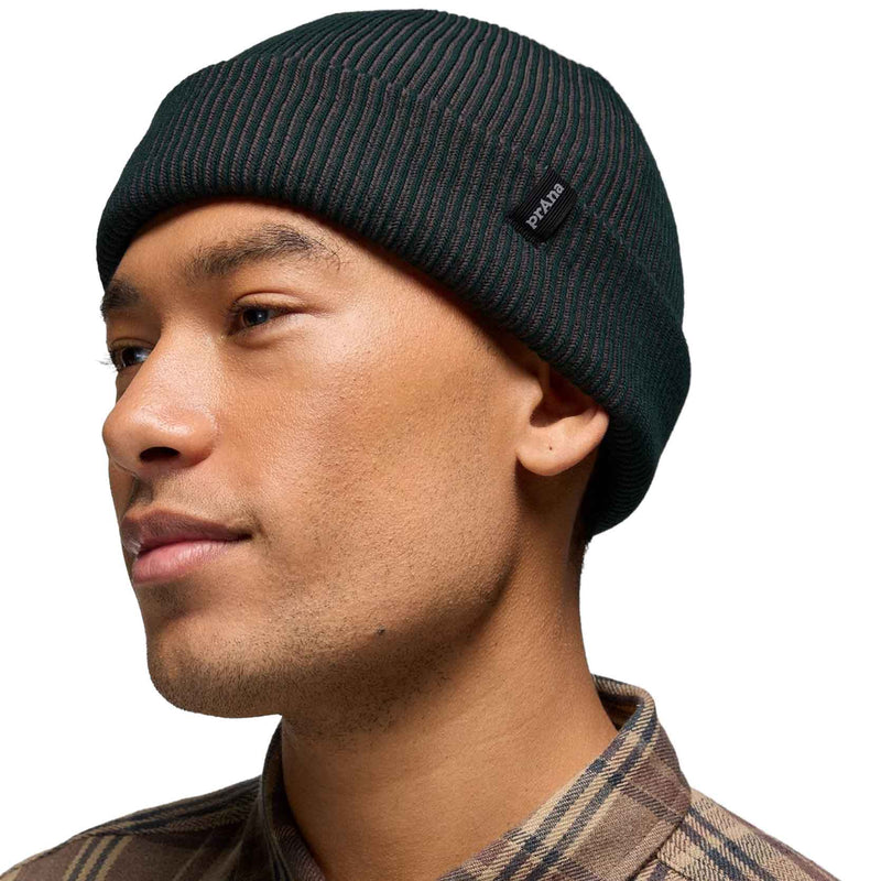 Load image into Gallery viewer, Big Pine Beanie
