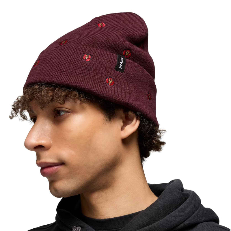 Load image into Gallery viewer, Wild Now Beanie
