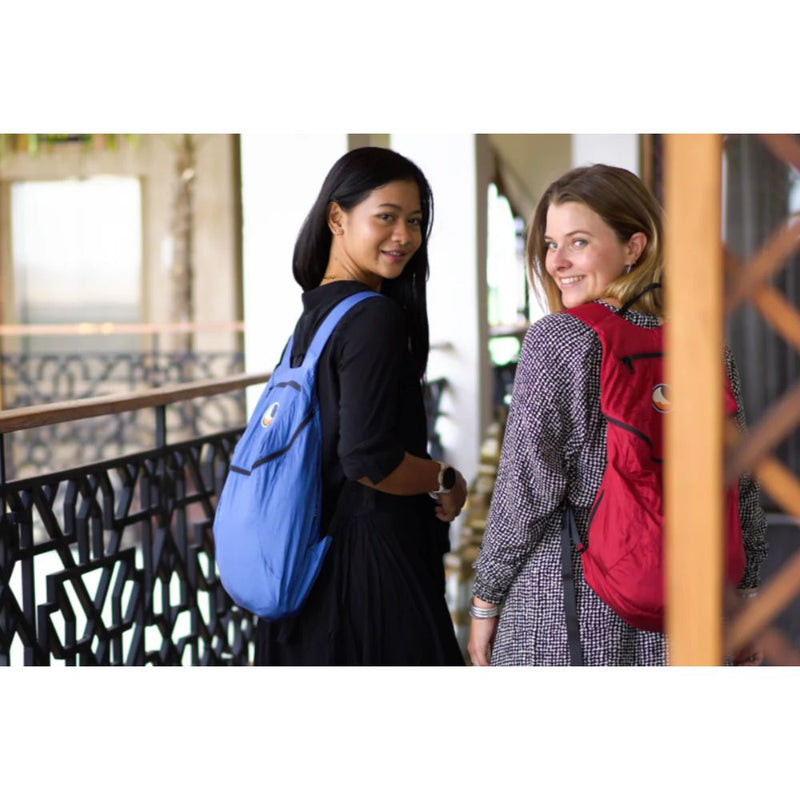 Load image into Gallery viewer, Mini Backpack
