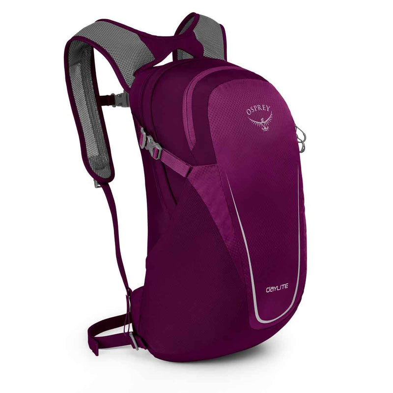 Load image into Gallery viewer, osprey daylite eggplant purple
