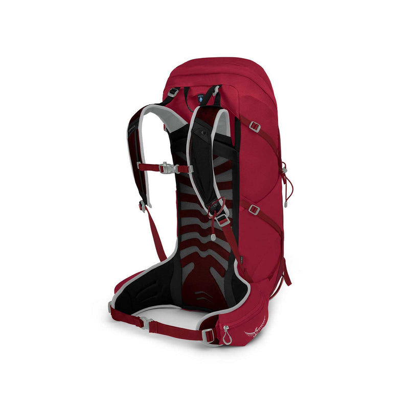 Load image into Gallery viewer, osprey talon 33 mens hiking daypack cosmic red 2
