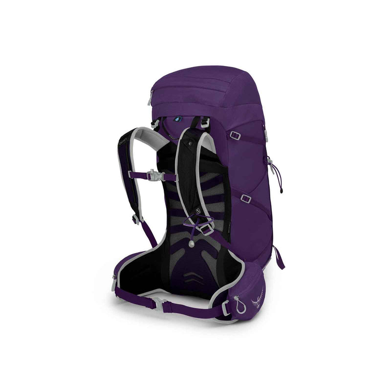 Load image into Gallery viewer, osprey tempest 30 womens hiking pack ciolac purple 2
