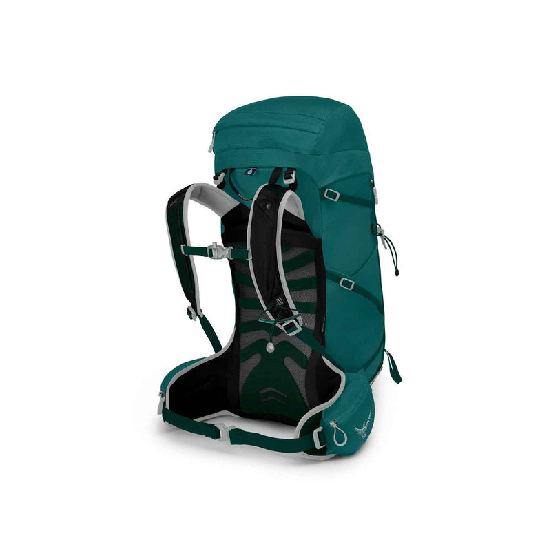 Load image into Gallery viewer, osprey tempest 30 womens hiking pack jasper green 2
